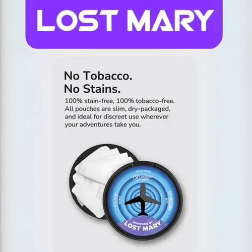 Lost Mary Airplane Mode - Nicotine Pouches (£2)