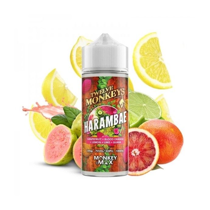 Twelve Monkeys Monkey Mix 70/30 | 100ml + 2 Nics | £7 - Avalanche Vapes Harambae Ice
