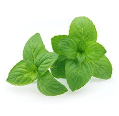 Nictel E - Liquid 18mg | £1 - Avalanche Vapes Blackcurrant