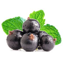 Nictel E - Liquid 18mg | £1 - Avalanche Vapes Blackcurrant