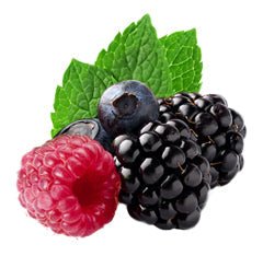 Nictel E - Liquid 18mg | £1 - Avalanche Vapes Blackcurrant