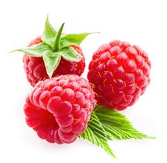 Nictel E - Liquid 18mg | £1 - Avalanche Vapes Blackcurrant